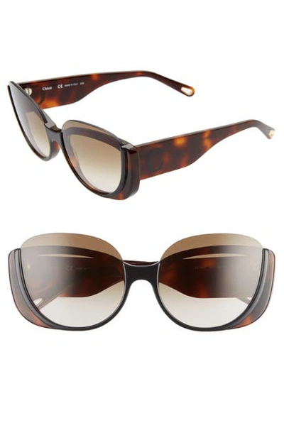 Chloé Cayla 59mm Butterfly Sunglasses In Black Havana/ Khaki