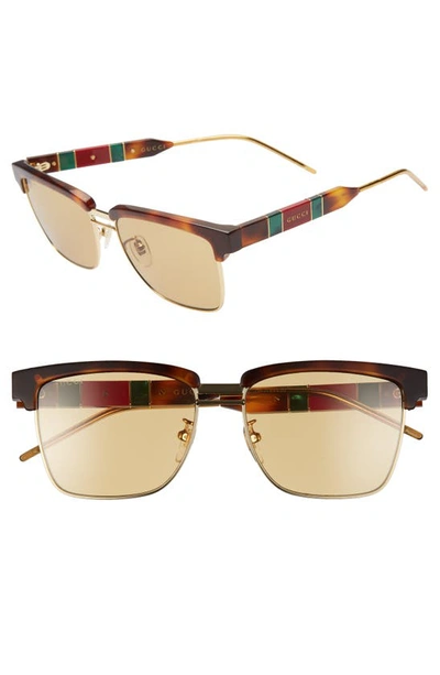 Gucci 56mm Square Sunglasses In Shiny Medium Havana