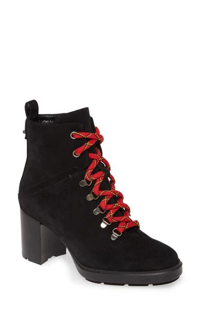 Aquatalia Ihana Water Resistant Lace-up Boot In Black