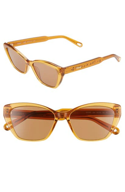 Chloé Willow 54mm Cat Eye Sunglasses In Brick/ Brown