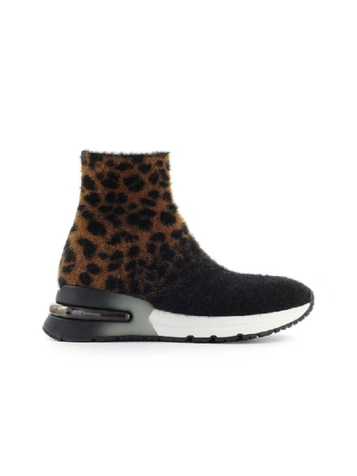 Ash Black Leopard King Sneaker Sock-style In Nero (black)