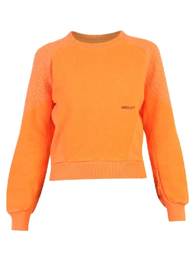 Ambush Branded Sweatshirt In Orange