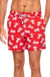 Tom & Teddy Pineapple Print Swim Trunks In Blue/ Crimson