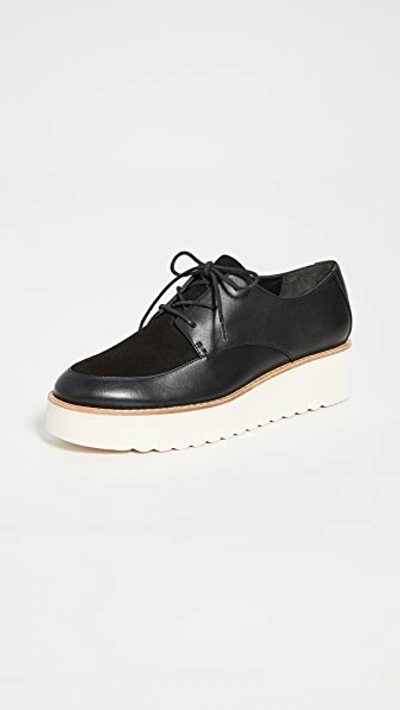 Vince Zina Lace Up Shoes In Black