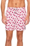 TOM & TEDDY FLAMINGO PRINT SWIM TRUNKS,FLAFU