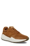 Steve Madden Sardan Sneaker In Cognac Suede