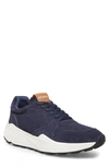 STEVE MADDEN SARDAN SNEAKER,SARD01M1