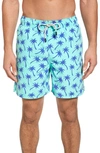 TOM & TEDDY PALM TREE PRINT SWIM TRUNKS,MTTPALEB