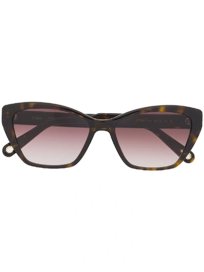 Chloé Tortoiseshell Cat In 棕色