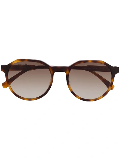 Lacoste Tortoiseshell-effect Sunglasses In 棕色