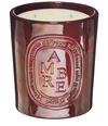 DIPTYQUE AMBER CANDLE 1500 G,XM19AB1500/ZZZ