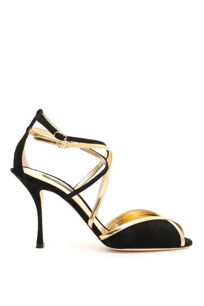 Dolce & Gabbana Metallic Leather-trimmed Suede Sandals In Black,gold