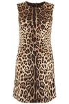 Dolce & Gabbana Leopard-printed Dress In Beige,brown,black