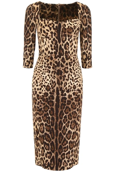 Dolce & Gabbana Leopard-printed Dress In Brown,black
