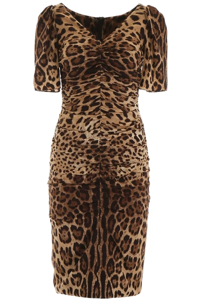 Dolce & Gabbana Leopard Print Silk Stretch Pencil Dress In Beige,black