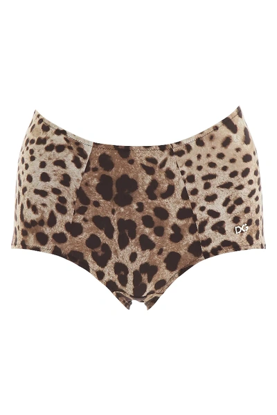Dolce & Gabbana Leopard Print High-waisted Bikini Bottoms In Brown,black,beige