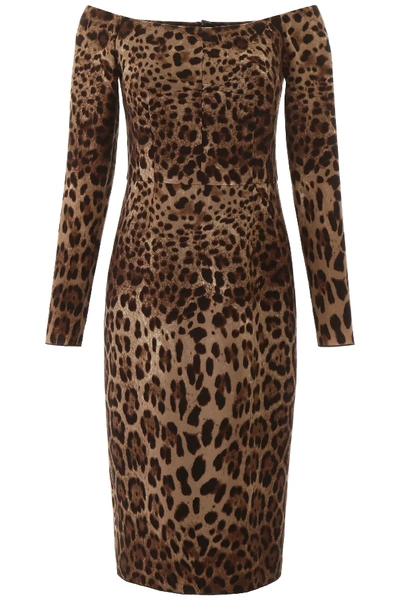 Dolce & Gabbana Animalier Midi Dress In Brown,black