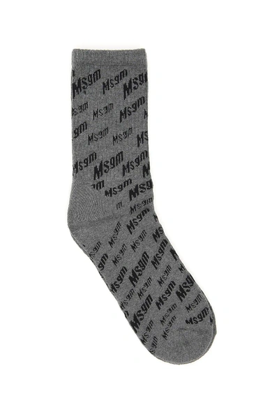 Msgm Medium Logo Socks In Grey,black
