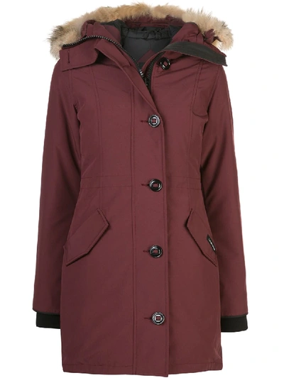 Canada Goose Ladies Rossclair Parka In 红色