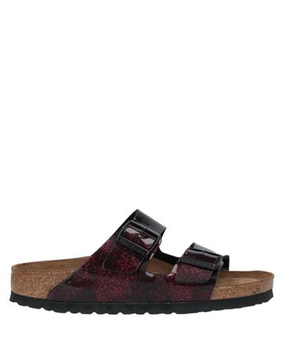Birkenstock Sandals In Maroon