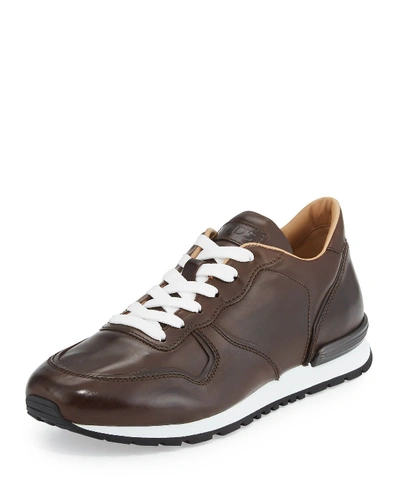 Tod's Men's Smooth Leather Trainer Sneakers In Brown