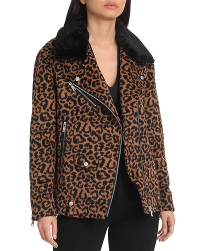 Avec Les Filles Sherpa Trimmed Leopard Biker Jacket In Beige/black