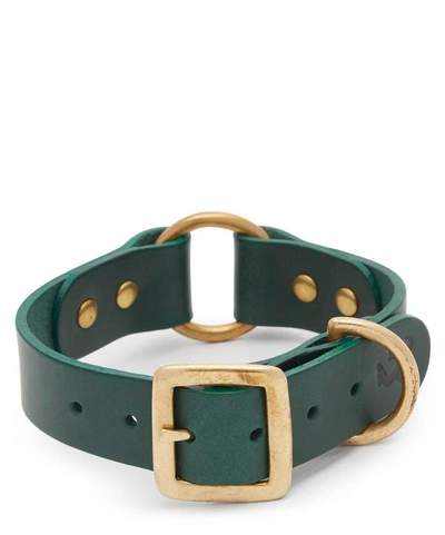 Fetch & Follow Medium Leather Dog Collar In Green
