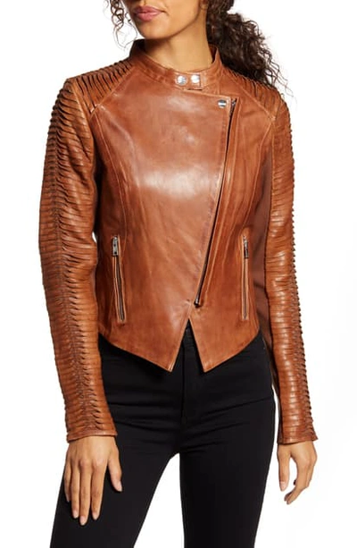 Lamarque Azra Statement Sleeve Leather Moto Jacket In Luggage