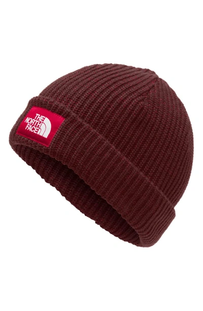 The North Face Salty Dog Beanie In Deep Garnet Red