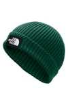 The North Face Logo Cuff Beanie In Night Green