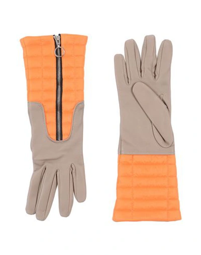 Aristide Gloves In Khaki