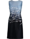 OSCAR DE LA RENTA Dip Dye Cherry Blossom Slim Dress