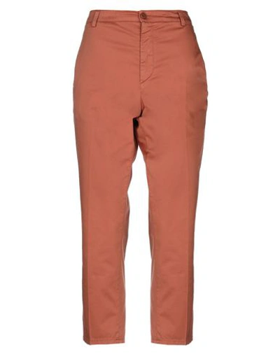 Dondup Woman Pants Brown Size 25 Cotton, Elastane