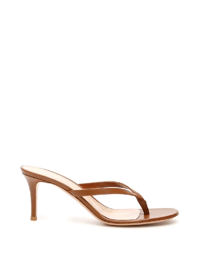 Gianvito Rossi Thong Leather Slide Sandals In Brown