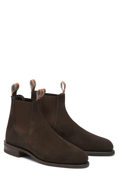 R.m.williams R.m. Williams Brown Suede Comfort Craftsman Chelsea Boots In Chocolate Suede