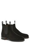 R.M.WILLIAMS COMFORT TURNOUT CHELSEA BOOT,B530S.08FGWP