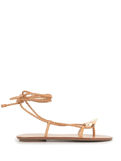 Loeffler Randall Sea Shell Braided Sandals In Brown