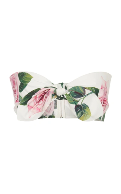 Dolce & Gabbana Tie-front Floral-print Cotton-poplin Bandeau Top In Multicolor