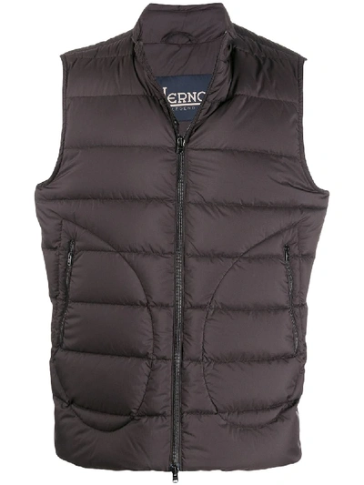 Herno Zipped Padded Gilet In 棕色