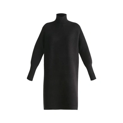 Paisie Ribbed Polo Neck Jumper Dress In Black