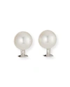 ASSAEL 18K WHITE GOLD PEARL CLIP EARRINGS,PROD227120370