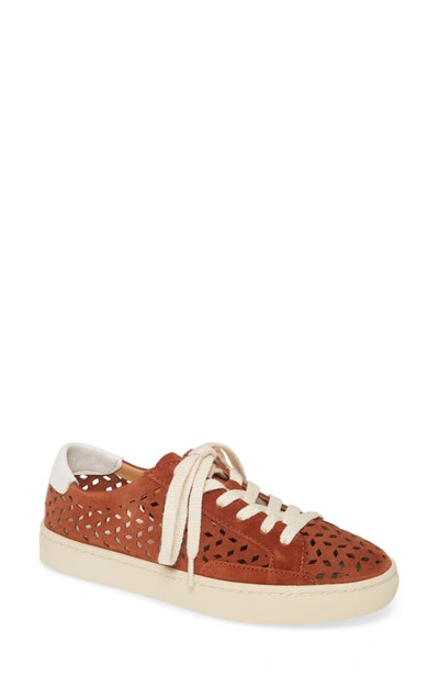 Soludos Ibiza Perforated Sneaker In Adobe