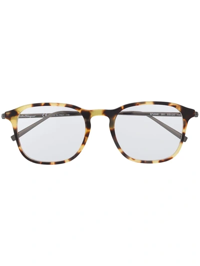 Ferragamo Square Frame Glasses In Brown