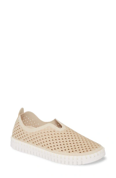 Ilse Jacobsen Tulip 139 Perforated Slip-on Sneaker In Neutrals