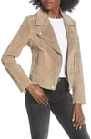 Blanknyc Suede Moto Jacket In Sand Stoner