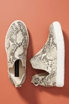 Steve Madden Steven By  Caneres Platform Sneakers In Black