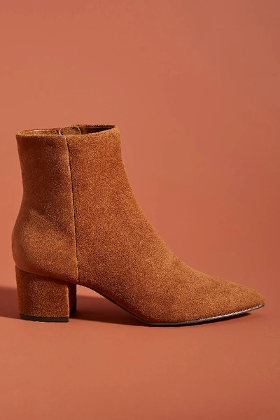 Dolce Vita Bell Ankle Boots In Brown