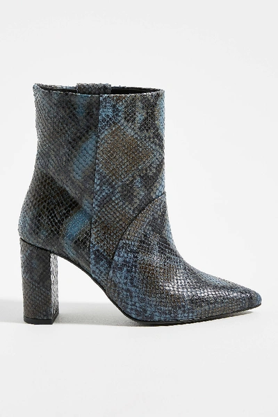 Chio Snake-printed Ankle Boots In Blue