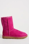 Ugg Classic Short Ii Boots In Fuchsia Suede