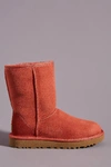 Ugg Classic Ii Genuine Shearling Lined Short Boot In Orange